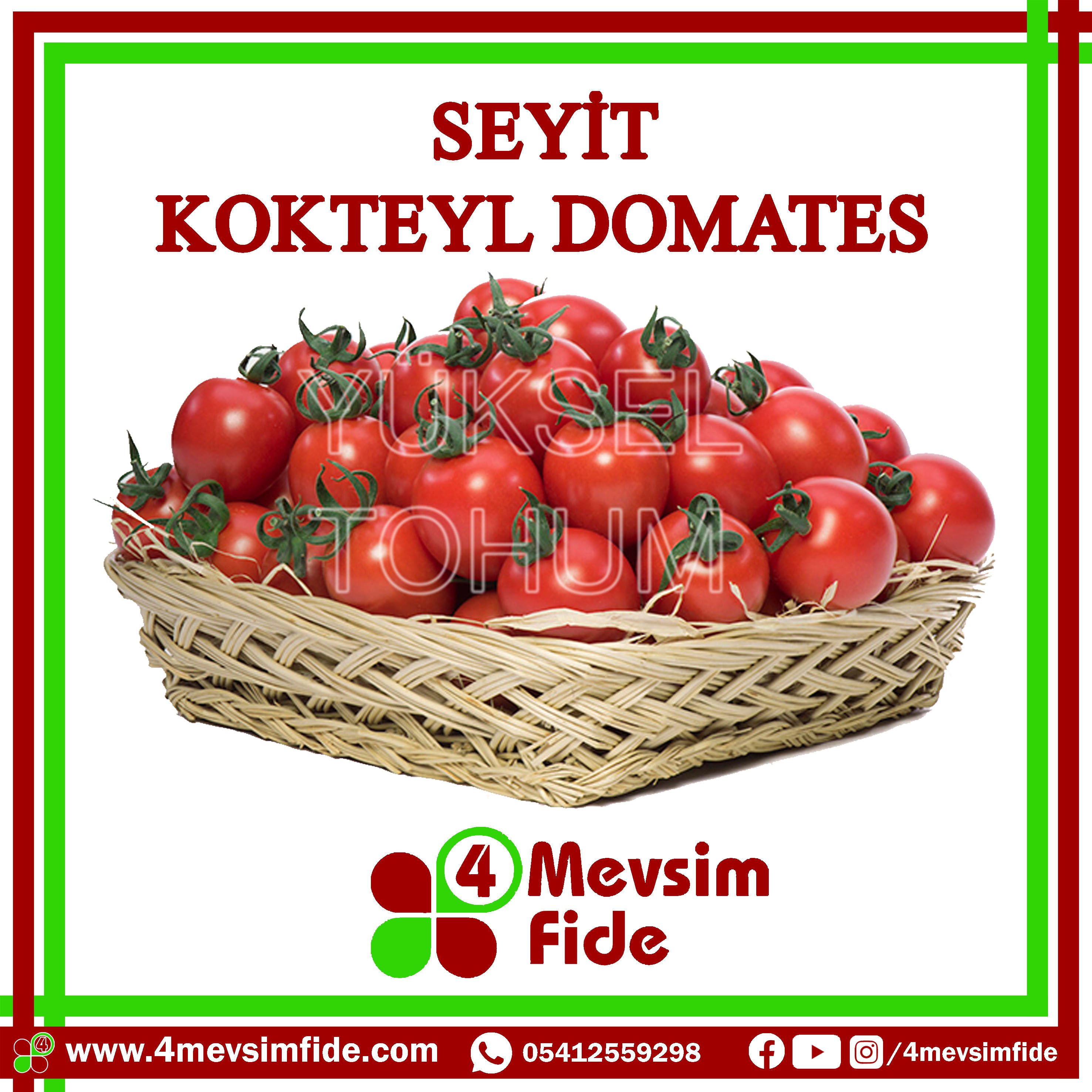 Seyit F1 Kokteyl Domates